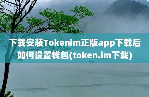 下载安装Tokenim正版app下载后如何设置钱包(token.im下载)