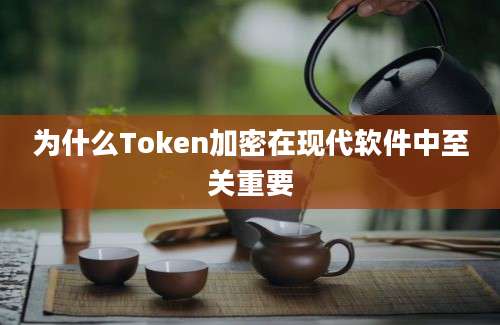 为什么Token加密在现代软件中至关重要