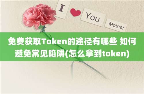 免费获取Token的途径有哪些 如何避免常见陷阱(怎么拿到token)