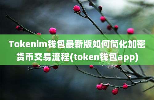 Tokenim钱包最新版如何简化加密货币交易流程(token钱包app)