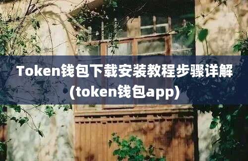 Token钱包下载安装教程步骤详解(token钱包app)